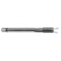 M12 x 1.75 Dia. - 6H - 4 FL - Carbide Semi-Bott Tap - Bright Finish-Coolant-Thru-FORM-C - Americas Industrial Supply