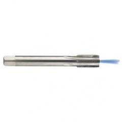 M12 x 1.75 Dia. - 6H - 4 FL - Carbide Semi-Bott Tap - Bright Finish-Coolant-Thru-FORM-C - Americas Industrial Supply