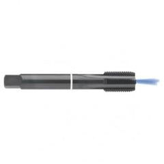 M14 x 2.0 Dia. - 6H - 4 FLX - Cobalt Semi-Bott White Ring Tap - Blk-Ox-Coolant-FORM-C - Americas Industrial Supply