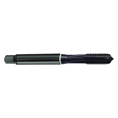 ‎1/4-20 4FL 2B Cobalt Semi-Bott White Ring Tap-Blk-Ox FORM-C DIN 371 - Americas Industrial Supply