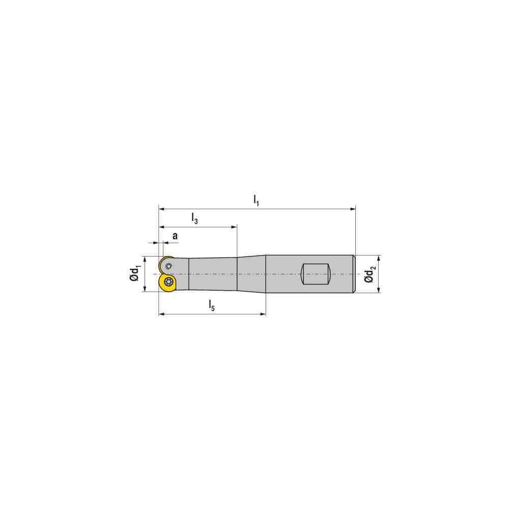 Indexable Ball Nose End Mills; Milling Diameter: 20.00 mm; Maximum Depth Of Cut: 4.00 mm; Maximum Ramping Angle: 0.0; Shank Diameter: 25.00 mm; Shank Type: Weldon Flat; Compatible Insert Style: RDEX; RDHX; RDMX; RDPX; Compatible Insert Size Code: RD.X 100