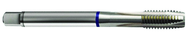 6-40 Dia. - 2B - 3 FL - Cobalt Spiral Point Plug Blue Ring Tap - Bright FORM-B DIN 374 - Americas Industrial Supply