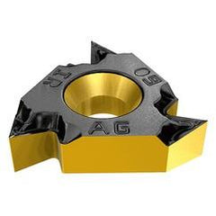 22IR N 60 IC250 THREAD INSERT - Americas Industrial Supply