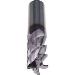 16M HM FLAT N LG 4 MOD FL TIAL