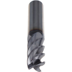 10M HM FLAT N LG 4 MOD FL TIAL