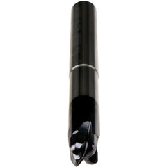 12M HM TOR LG 4FL TIALN