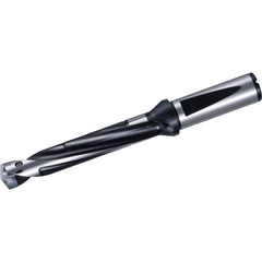 Replaceable Tip Drill: 25 to 25.5 mm Drill Dia, 130 mm Max Depth, 25 mm Flange Shank Seat Size 080, 222 mm OAL, Through Coolant