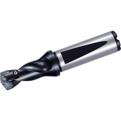 Replaceable Tip Drill: 17 to 17.99 mm Drill Dia, 27 mm Max Depth, 20 mm Flange Shank Seat Size 080, 103 mm OAL, Through Coolant