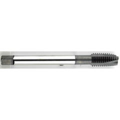 ‎7/16-20 Dia. - GH3 - 3 FL - Premium - HSS - Black Oxide - Plug - Spiral Point Tap Series/List #2088 - Americas Industrial Supply