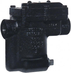 Hoffman Speciality - 2 Port, 1/2" Pipe, Stainless Steel Inverted Bucket Steam Trap - 75 Max psi - Americas Industrial Supply