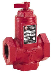 Bell & Gossett - 2" Pipe, Cast Iron Manually Operated Plumbing Valve - Buna Seal, FNPT - Americas Industrial Supply