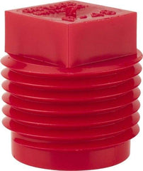 Caplugs - Square Head Plug - 1/2" OD, Polyethylene, Red - Americas Industrial Supply