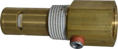 Conrader - 3/4 x 3/4" Brass Check Valve - In-Tank, FNPT x MNPT - Americas Industrial Supply