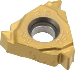 Seco - 16ER External Right Hand ISO Laydown Threading Insert - Grade CP500, TiAlN/TiN Coated Carbide - Americas Industrial Supply