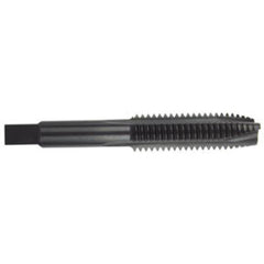 ‎1/4-28 Dia. - GH3 - 2 FL - HSS - Black Oxide - Plug Spiral Point Tap Series/List #2047X - Americas Industrial Supply