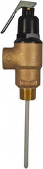 CASH ACME - 3/4" Inlet, 3/4" Outlet, MNPT x MNPT, ASME Safety Relief Valve - 150 Max psi, Bronze, 500000 BTUs - Americas Industrial Supply