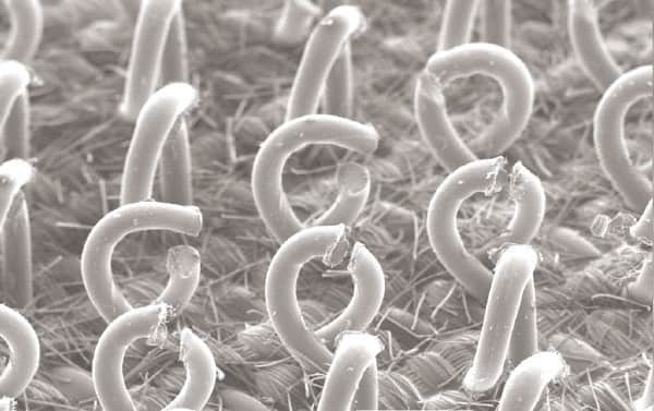 3M - Sanding Block Holder - 6.95" Wide x 13" Long - Americas Industrial Supply