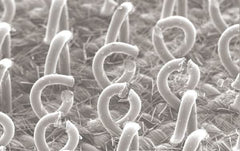 3M - Sanding Block Holder - 6.95" Wide x 13" Long - Americas Industrial Supply