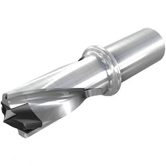 Iscar - 1.299 to 1.335" Diam, 8xD, 10.39" Max Drill Depth, 1-1/4" Shank Diam, 14-1/4" OAL, Replaceable Tip Drill - HFP-IQ Insert, 33 Seat Size, DFN Toolholder, Series ChamIOdrill - Americas Industrial Supply