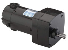 Leeson - 1/15 Max hp, 9 Max RPM, Electric AC DC Motor - 115 V Input, Single Phase, 31 Frame - Americas Industrial Supply