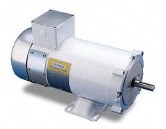 Leeson - 1/2 Max hp, 1,750 Max RPM, Electric AC DC Motor - 115 V Input, ZS56C Frame - Americas Industrial Supply