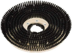 Clarke - 20" Diam Scrubbing Brush - 20" Machine, Black Pad, Polypropylene - Americas Industrial Supply