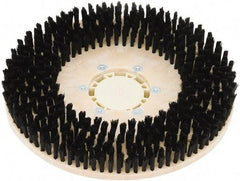 Clarke - 34" Diam Scrubbing Brush - 17" Machine, Black Pad, Nylon - Americas Industrial Supply