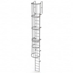 TRI-ARC - Rolling & Wall Mounted Ladders & Platforms Type: Fixed Ladder Style: Safety Cage - Americas Industrial Supply