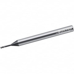 Walter-Prototyp - 1mm, 2 Flute, Single End, Solid Carbide, 0.1mm Corner Radius End Mill - 60mm OAL, 30° Helix, Right Hand Flute, 1mm LOC, Right Hand Cut, 15mm Extended Reach - Americas Industrial Supply