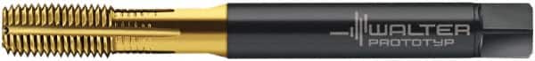 Walter-Prototyp - 1/4-28 UNF 2B Modified Bottoming Thread Forming Tap - Cobalt, TiN Finish, 80.01mm OAL, 15.01mm Thread Length, Right Hand Thread, Series ACP2361745 - Americas Industrial Supply