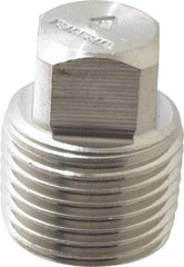 Merit Brass - 3/8" Grade 316/316L Stainless Steel Pipe Square Head Plug - MNPT End Connections, 3,000 psi - Americas Industrial Supply