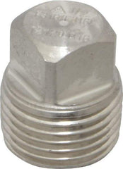 Merit Brass - 1/2" Grade 316/316L Stainless Steel Pipe Square Head Plug - MNPT End Connections, 3,000 psi - Americas Industrial Supply