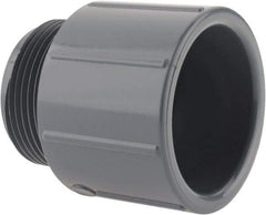 Value Collection - 1-1/4" CPVC Plastic Pipe Male Adapter - Schedule 80, MIPT x Slip End Connections - Americas Industrial Supply