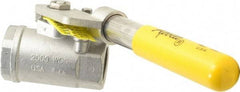 Apollo - 1" Pipe, Stainless Steel Standard Ball Valve - 2 Piece, Inline - One Way Flow, FNPT x FNPT Ends, Deadman Lever (Spring Return to Close) Handle, 2,000 WOG, 150 WSP - Americas Industrial Supply