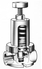 Simtech - 1/4" Pipe, NPTF End Connection, PVC Pressure Regulating Valve - EPDM Seal, 160 psi Inlet Pressure, 10 to 15 psi Working Pressure - Americas Industrial Supply