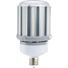 Eiko Global - 100 Watt LED Commercial/Industrial Mogul Lamp - 5,000°K Color Temp, 13,300 Lumens, Shatter Resistant, Ex39, 50,000 hr Avg Life - Americas Industrial Supply