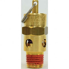 Control Devices - 1/4" Inlet, ASME Safety Valve - Americas Industrial Supply