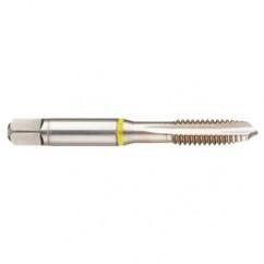 42437 2B 3-Flute Cobalt Yellow Ring Spiral Point Plug Tap-Bright - Americas Industrial Supply