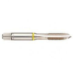 40002 2B 4-Flute Cobalt Yellow Ring Spiral Point Plug Tap-Bright - Americas Industrial Supply