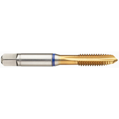 ‎8-36 3FL 2B PM Cobalt Spiral Point Plug Blue Ring Tap-TiN - Americas Industrial Supply
