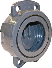 Hayward - 4" PVC Check Valve - Wafer Check Valve, Wafer, 150 WOG - Americas Industrial Supply