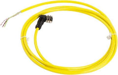 Telemecanique Sensors - 4 Amp, 1/2-20 UNF 3 Pin Elbowed Female Cordset Sensor and Receptacle - 250 VAC, 300 VDC, 2m Cable Length, IP67 Ingress Rating - Americas Industrial Supply
