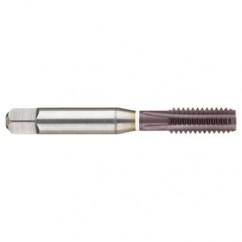 M12 x 1.75 Dia. - 6H - 4 FL - Cobalt Straight Flute Semi-Bott White Ring Tap - Firex - Americas Industrial Supply