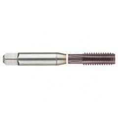 1/2-13 Dia. - 2B - 4 FL - Cobalt Straight Flute Semi-Bott White Ring Tap - Firex - Americas Industrial Supply