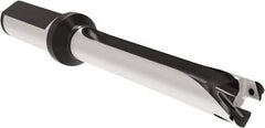Allied Machine and Engineering - Series 15, 15 to 15.99mm Diam, 3/4" Diam Straight Shank with Flange, Straight Flute Spade Drill - 4-27/64" Max Depth, 7-19/32" OAL, Standard Length, Through Coolant - Americas Industrial Supply