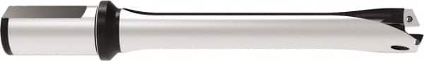 Allied Machine and Engineering - Series 29, 29 to 31.99mm Diam, 32mm Diam Straight Shank with Flange, Straight Flute Spade Drill - 159.9mm Max Depth, 263.7mm OAL, Standard Length, Through Coolant - Americas Industrial Supply