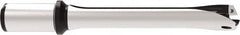 Allied Machine and Engineering - Series 29, 29 to 31.99mm Diam, 32mm Diam Straight Shank with Flange, Straight Flute Spade Drill - 159.9mm Max Depth, 263.7mm OAL, Standard Length, Through Coolant - Americas Industrial Supply