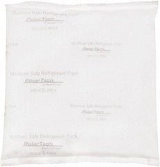 Made in USA - Temperature Control Packs Type: Ice Pack Length (Inch): 6 - Americas Industrial Supply