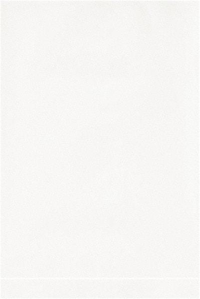 Value Collection - 4 x 6", 2 mil Flat Polybags - White - Americas Industrial Supply