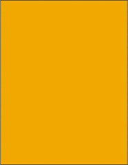 Tape Logic - 11" Long, Fluorescent Orange Paper Laser Label - For Laser Printers - Americas Industrial Supply